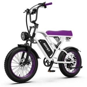 AMYET V9-G60 Adults Electric Bike