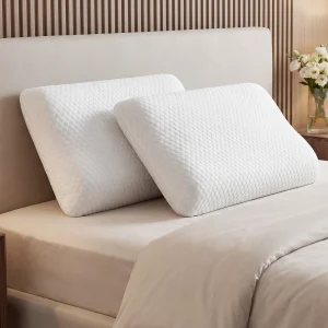 Memory Foam Pillows Standard